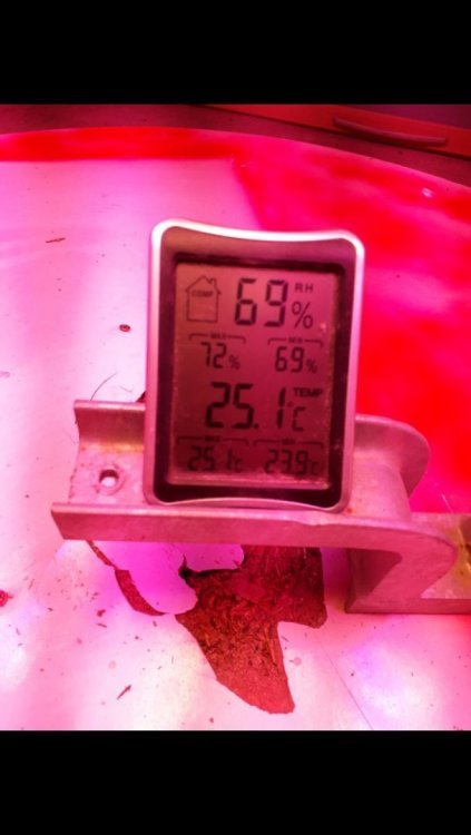 Screenshot_20190710-221227_Gallery.thumb.jpg.12e58c9f7a6f1abb39b80bb25739db91.jpg