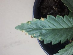 20190630_215502.jpg