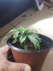 20190630_215608.jpg