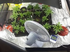 20190701_181945-4096x3072.jpg