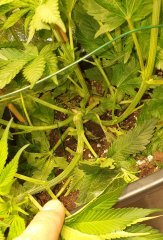 20190717_094059.jpg