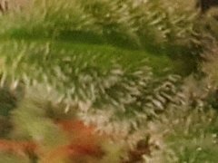 20190719_185642.jpg