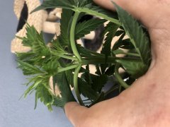 9BFD6865-EDE5-47D9-8348-1512F7937D38.jpeg
