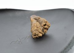 50 nuances de gras