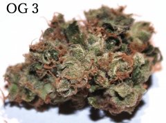 OGk3
