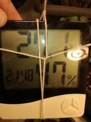 IMG_20190610_190048.jpg