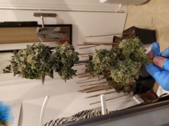 IMG_20190712_232033.jpg