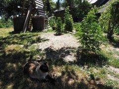 IMG_4444.jpg