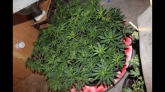 Amnesia & Cie +9 STR