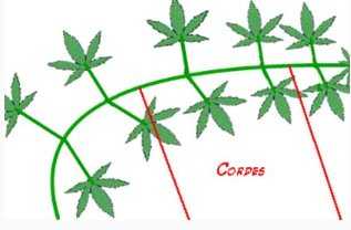 00-a.png