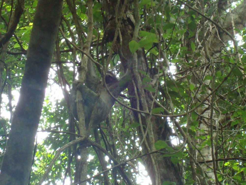 costa rica 065.jpg