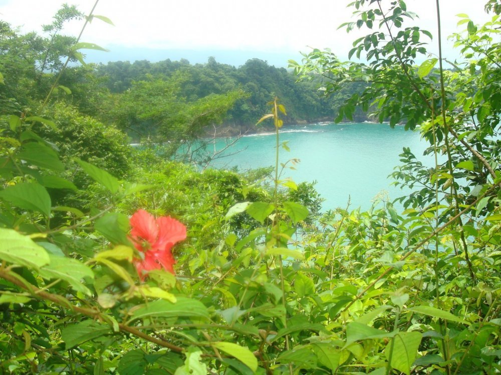 costa rica 073.jpg