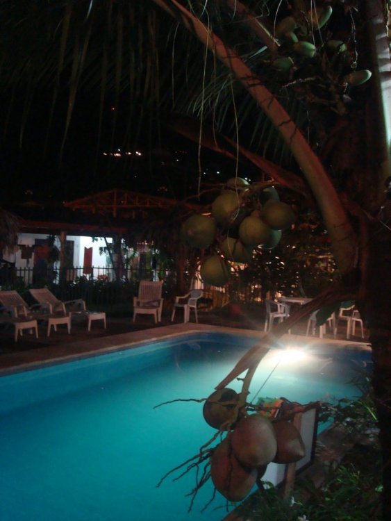 costa rica 068.jpg