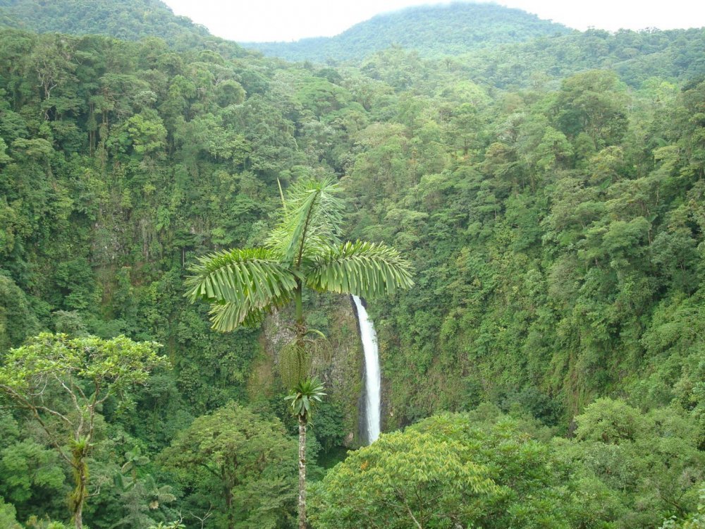 costa rica 167.jpg