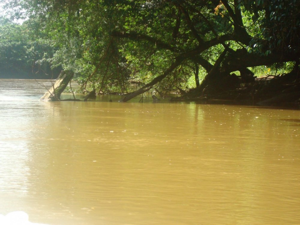 costa rica 306.jpg