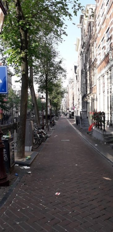 20190725_085224.jpg