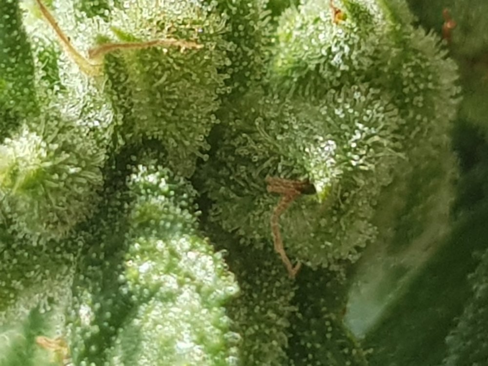 20190826_165935.jpg