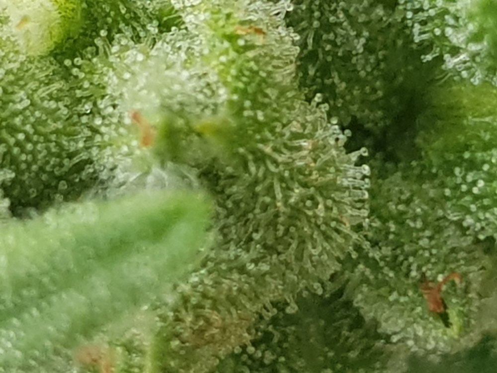 20190827_150853.jpg