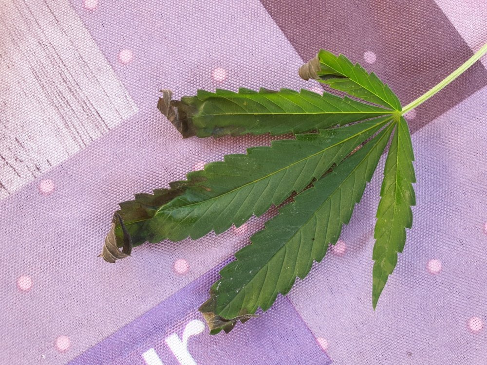 20190829_175105.jpg