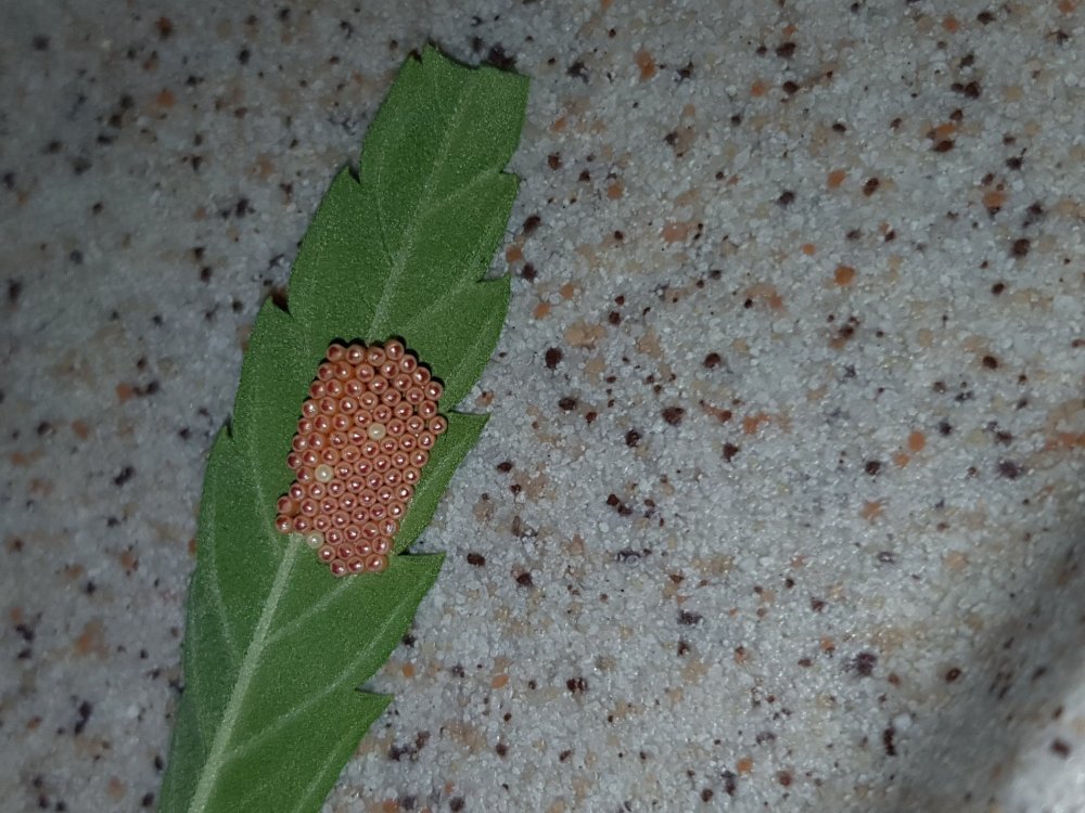 20190829_181157.jpg