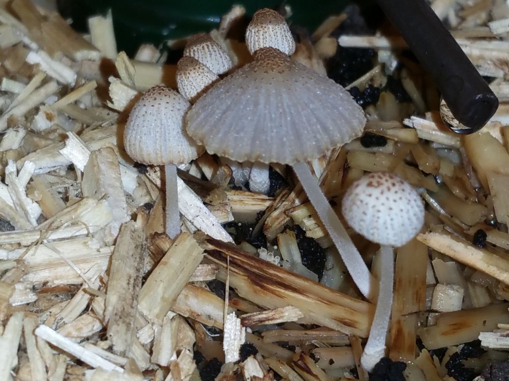 20190831_233636.jpg