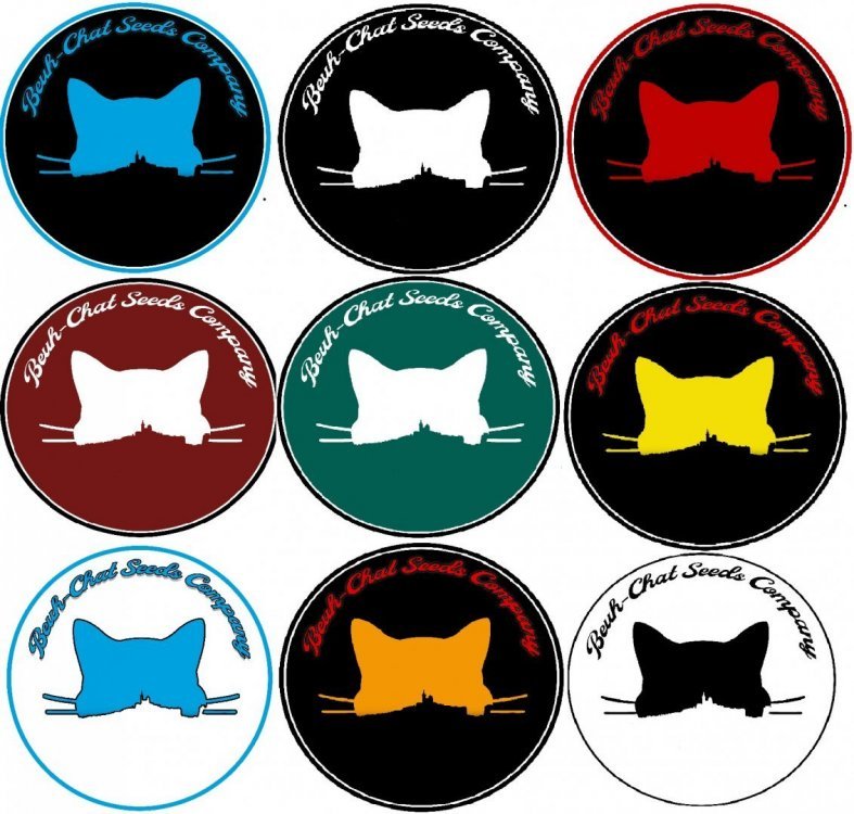 planche multicolor jpeg.jpg