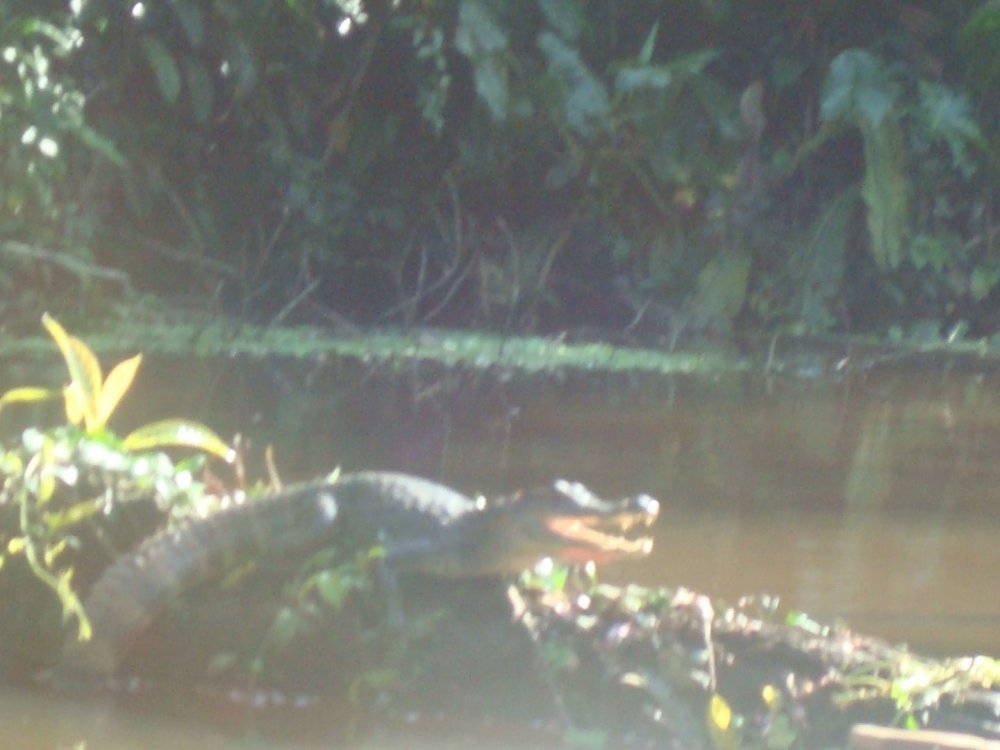 costa rica 570.jpg