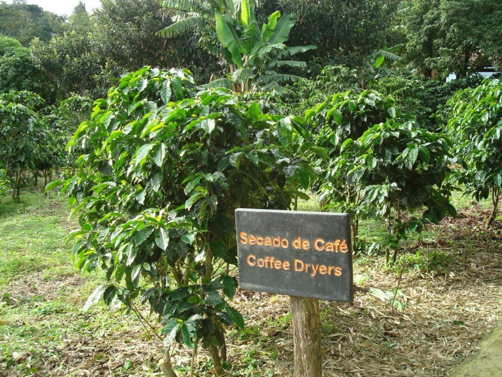 costa rica 263.jpg
