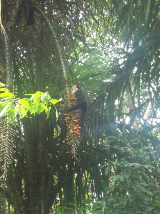 costa rica 045.jpg