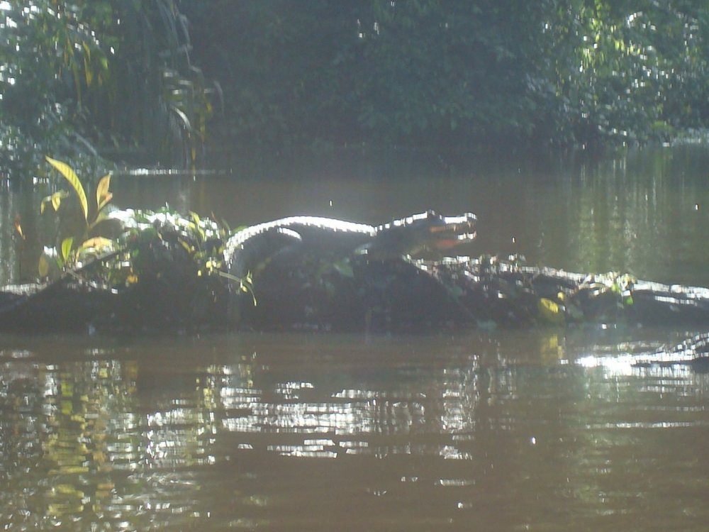 costa rica 568.jpg