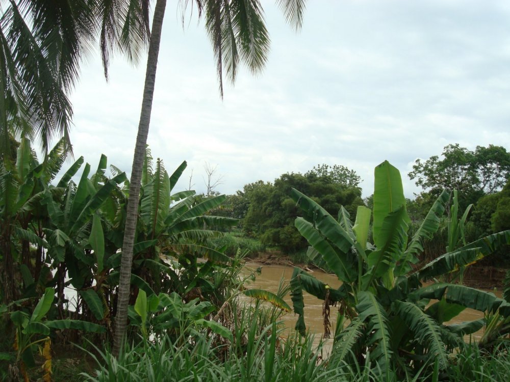 costa rica 018.jpg