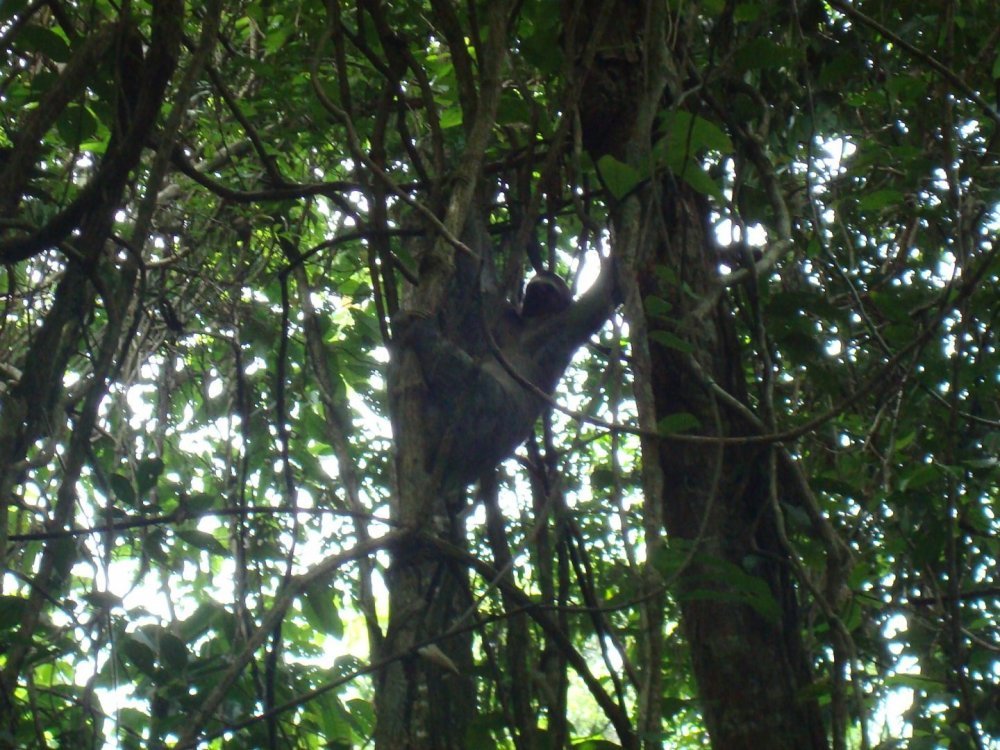 costa rica 064.jpg