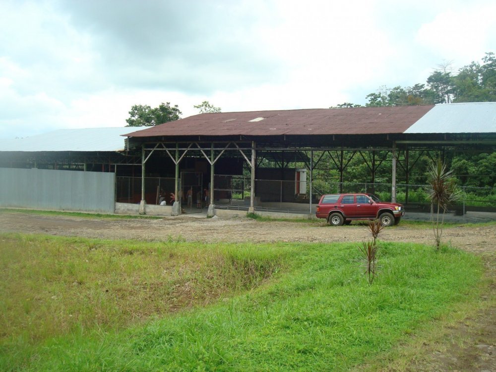costa rica 534.jpg