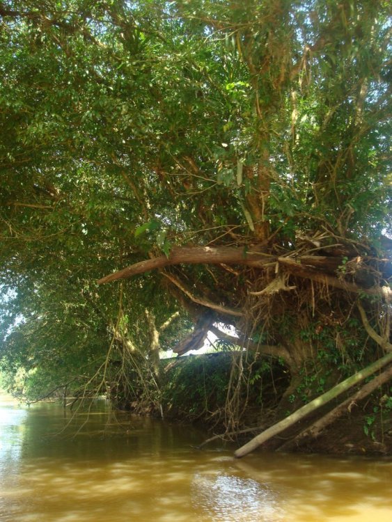 costa rica 345.jpg