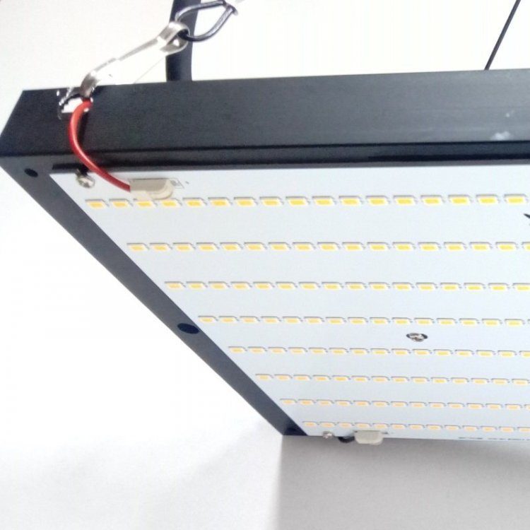 QUANTUM_BOARD_125W_3.jpg
