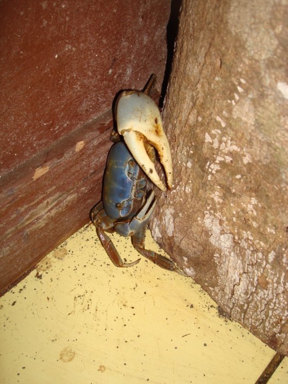 costa_rica_517.jpg