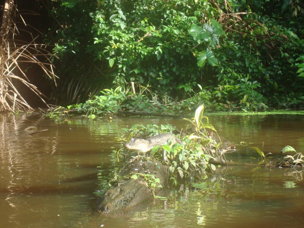 costa_rica_562.jpg