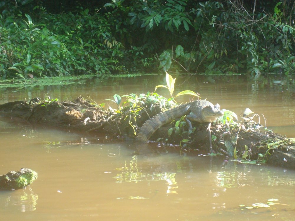 costa_rica_564.jpg