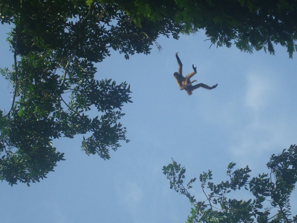 costa_rica_573.jpg