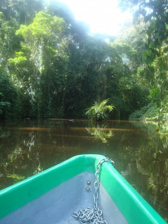 costa_rica_574.jpg