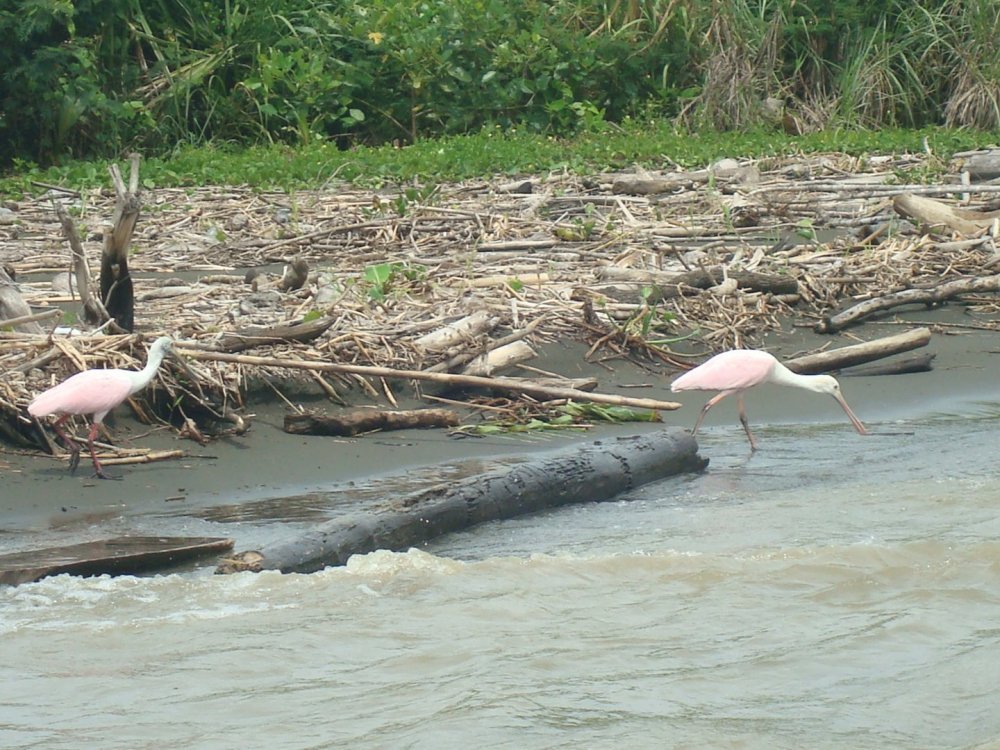 costa_rica_630.jpg