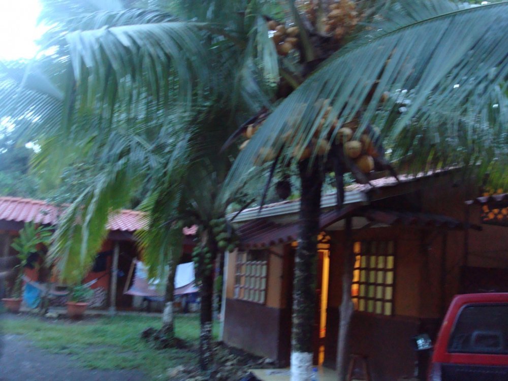 costa_rica_668.jpg