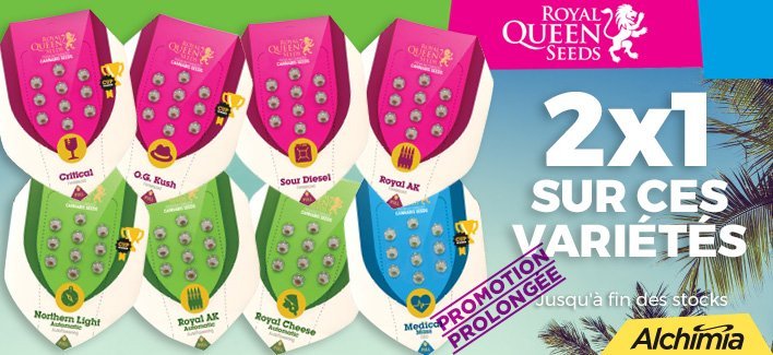 royal-2x1-prorroga-estiu-2019-1095.jpg