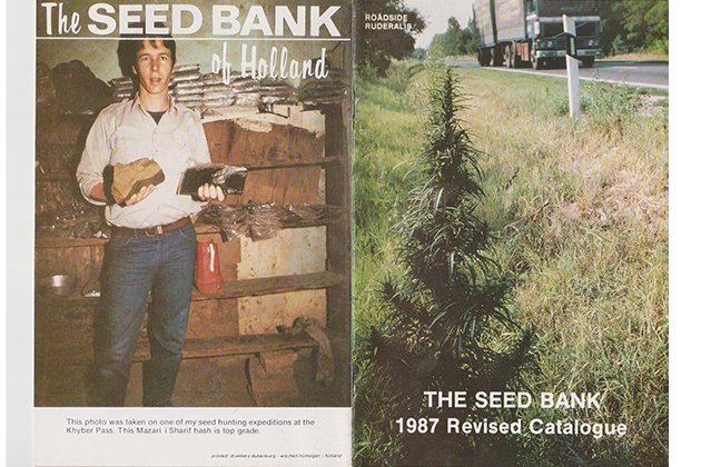 seedbank-nevil.jpg