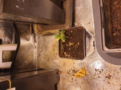 20190807_073041.jpg