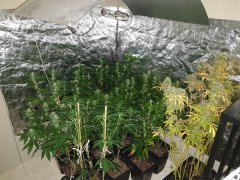 20190818_185955-min.jpg