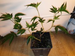 20190828_094736.jpg