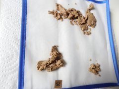 ICE O Chem#4 x OTM