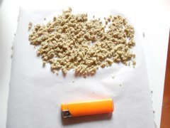 ICE O Strawberry glue THseeds