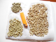 ICE O Strawberry glue THseeds